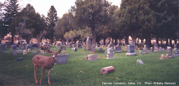 Fairview Cemetery