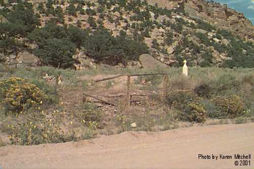 View of Cemetery, West to East