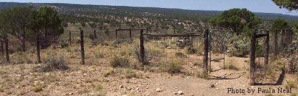 Westcott Cemetery, Cedar (Lower Disappointment Valley), San Miguel County, CO