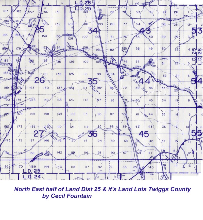 Twiggs Land District 25