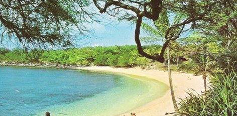 Postcard of a beach on Maui
