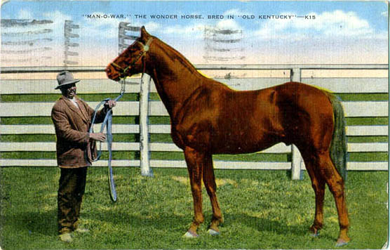 "Man-O-War", The Wonder Horse