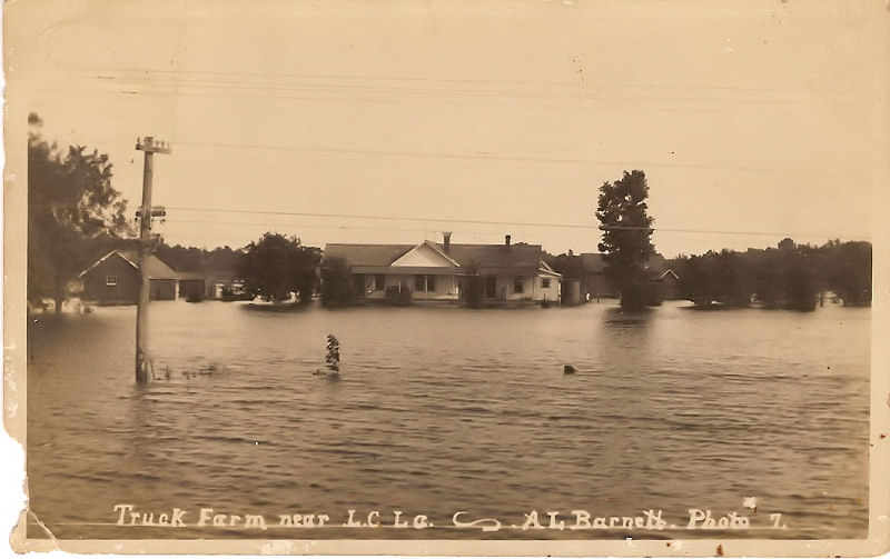 Truck Farm in flood