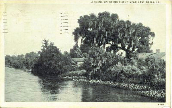 Bayou Chene