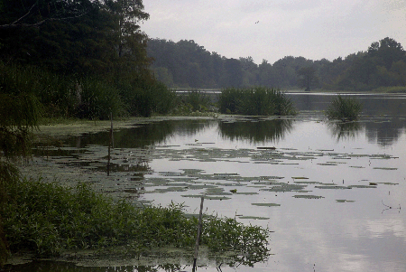 Brushy Lake