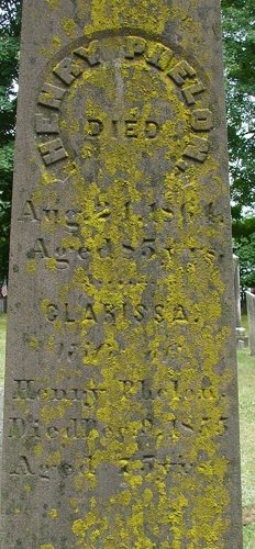 Maple Grove (33).jpg