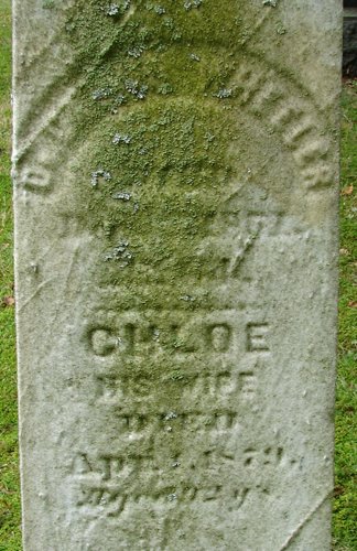Maple Grove (77).jpg
