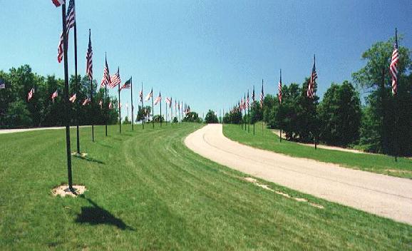 Fort Custer Avenue 1