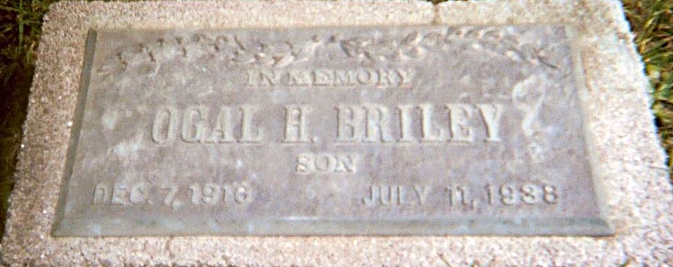 Briley Township Cemetery Headstones Briley Township Montmorency