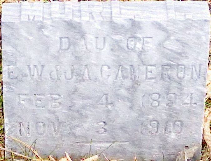 Briley Township Cemetery Headstones Briley Township Montmorency