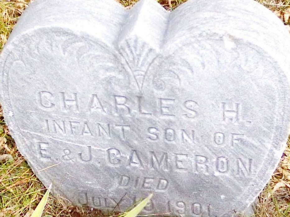 Briley Township Cemetery Headstones Briley Township Montmorency