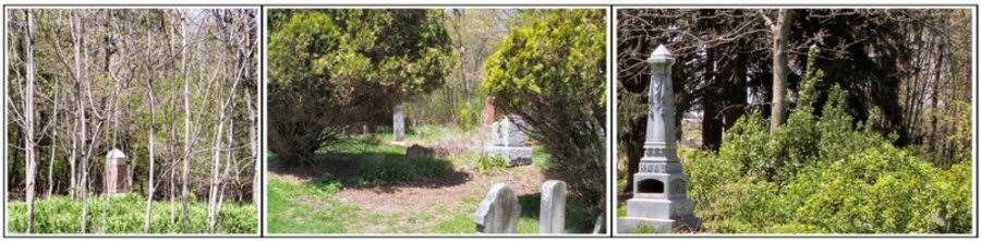 Oak Hill Cemetery Overview