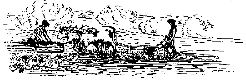 Prairie Plowing