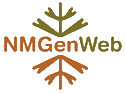 NMGenWeb logo