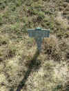 unknown5.jpg (71008 bytes)