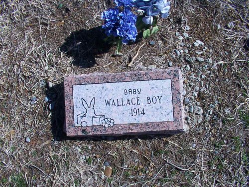 wallaceboy.jpg (95268 bytes)