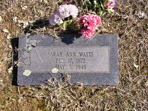 watts5.jpg (100674 bytes)