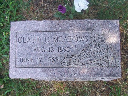 meadows.jpg (63990 bytes)