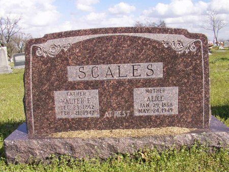 scales.jpg (59849 bytes)