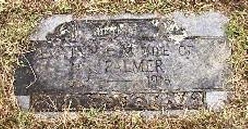 palmer.jpg (50625 bytes)