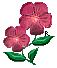 flower16.gif (2995 bytes)