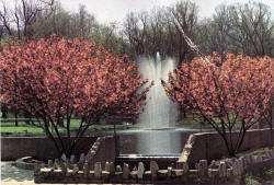 Fountain in Autumn