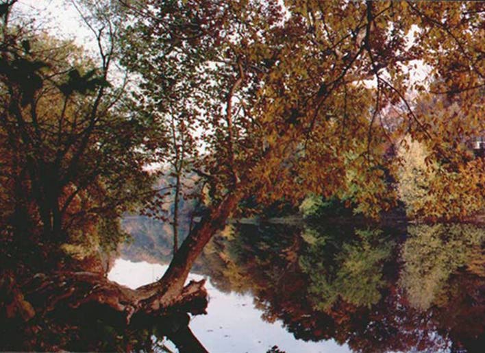 Autumn along Perkiomen Creek