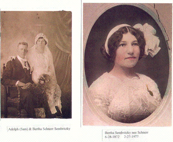 Schneer Family Pictures