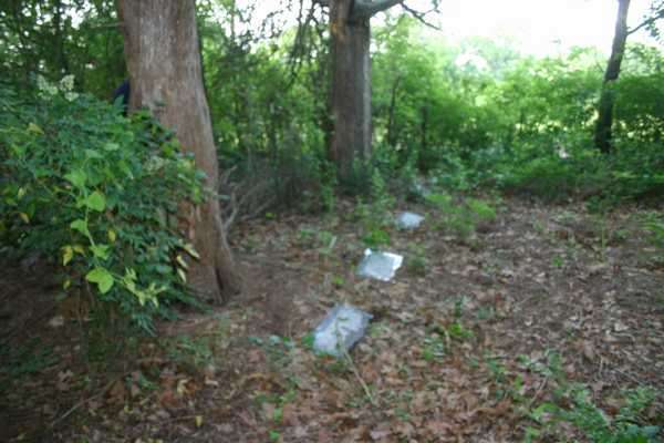 Thomas Family cemetery view, Rusk County, Texas